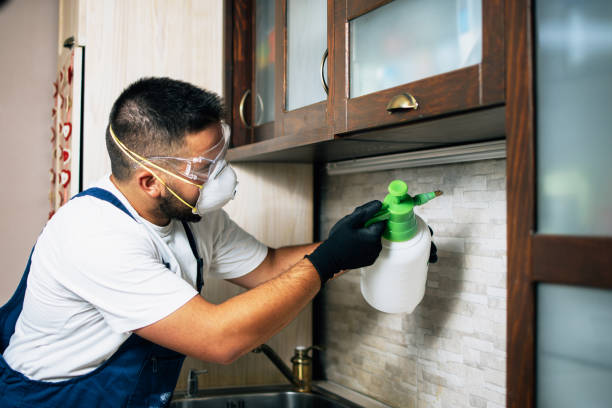 Indian Mountain Lake, PA Pest Control Company
