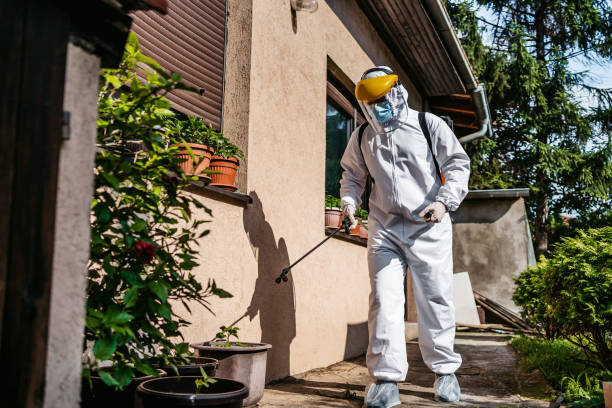 Best Flea Control Services  in Indian Mountain Lake, PA