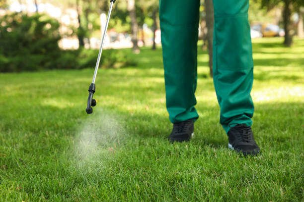 Best Best Pest Control Companies  in Indian Mountain Lake, PA