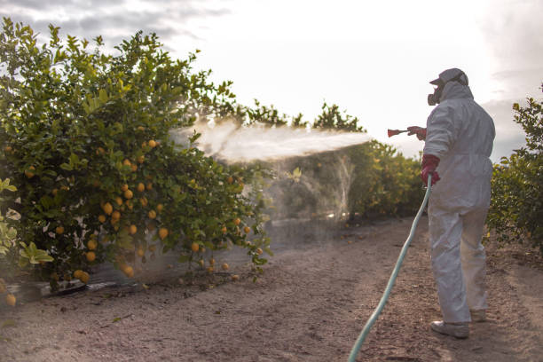 Best Insect Control  in Indian Mountain Lake, PA